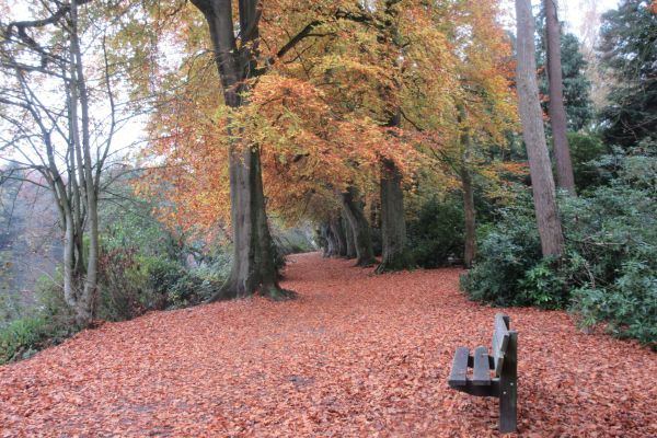 Hartsholme Park